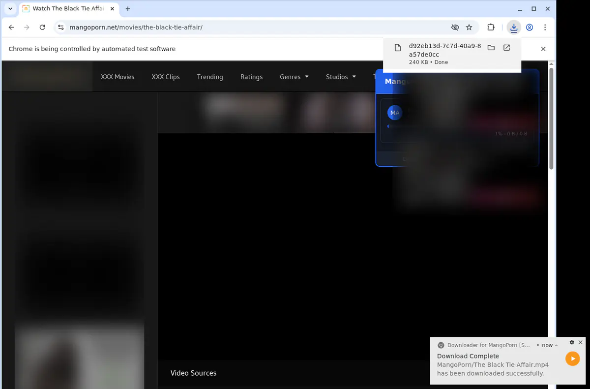 Mangoporn Video Downloader browser extension screenshot 2