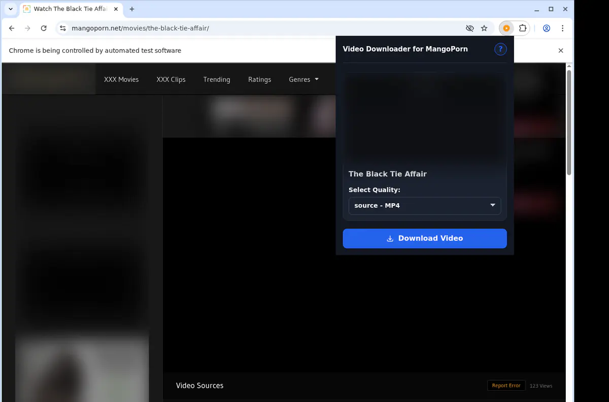 Mangoporn Video Downloader browser extension screenshot 3